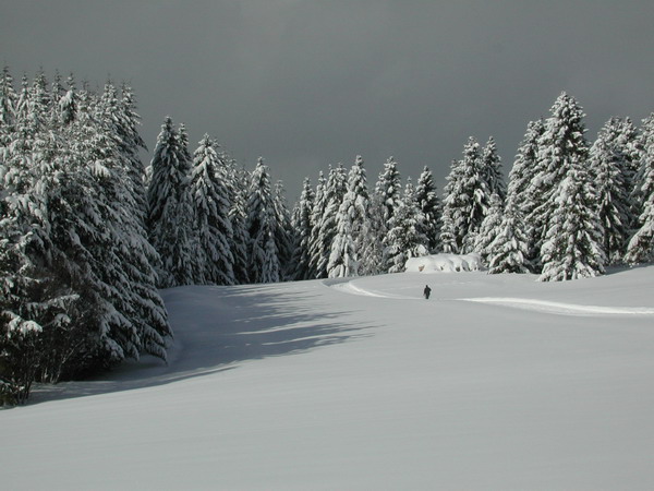 Winterzauber im Schwarzwald
