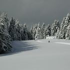 Winterzauber im Schwarzwald