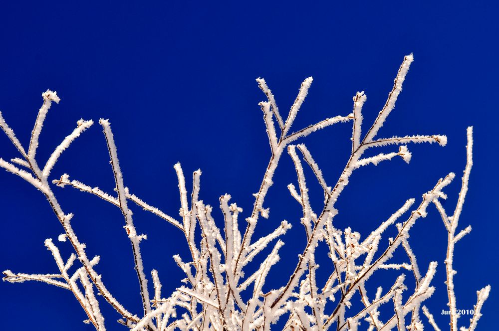 Winterzauber im Schweizer Jura