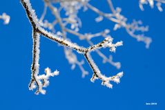 Winterzauber im Schweizer Jura Teil 10