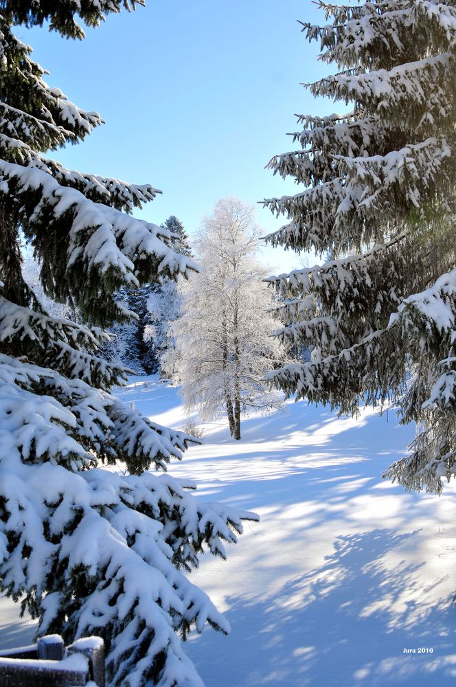 Winterzauber im Schweizer Jura Teil 11