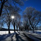 Winterzauber im Schweizer Jura Teil 2