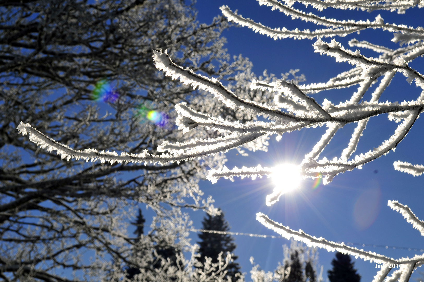 Winterzauber im Schweizer Jura Teil 3