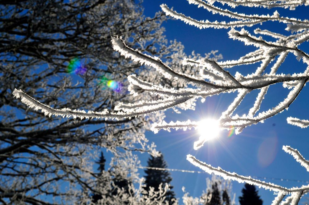 Winterzauber im Schweizer Jura Teil 3