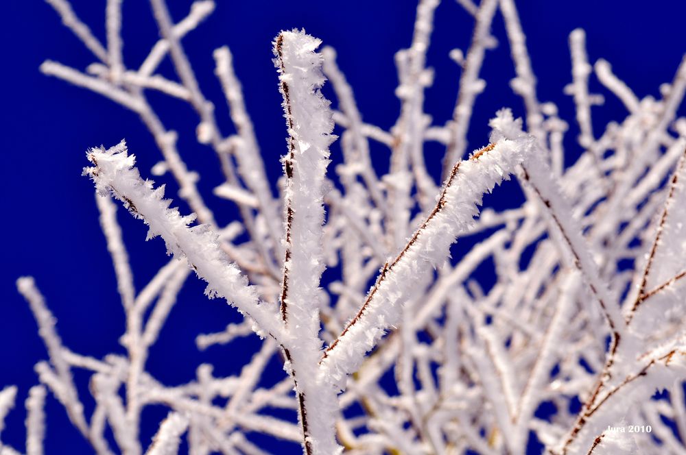 Winterzauber im Schweizer Jura Teil 4