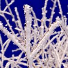 Winterzauber im Schweizer Jura Teil 4