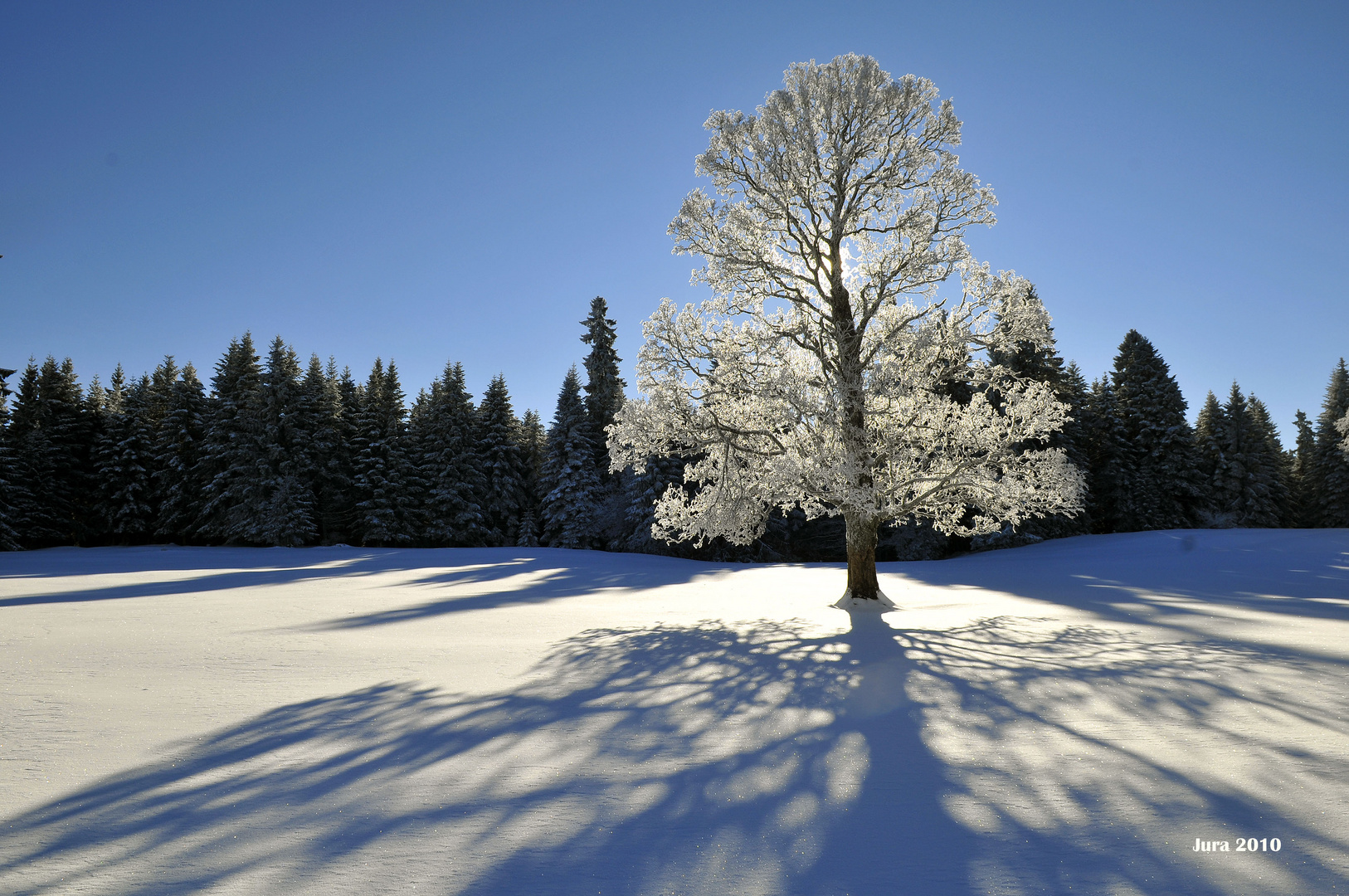 Winterzauber im Schweizer Jura Teil 6