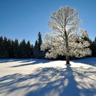 Winterzauber im Schweizer Jura Teil 6