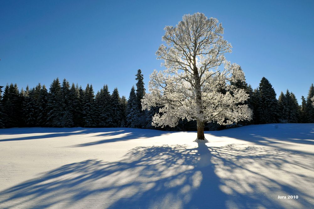 Winterzauber im Schweizer Jura Teil 6