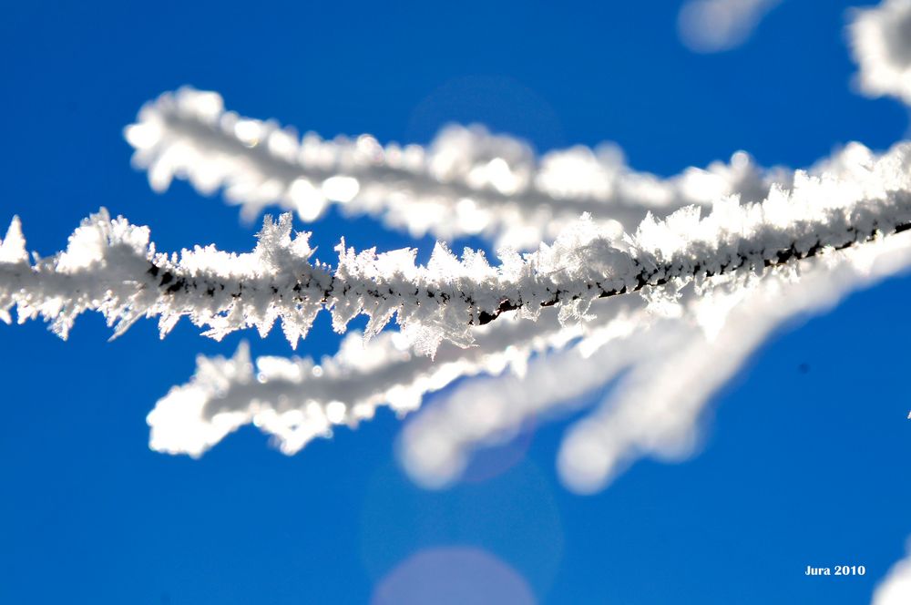 Winterzauber im Schweizer Jura Teil 9