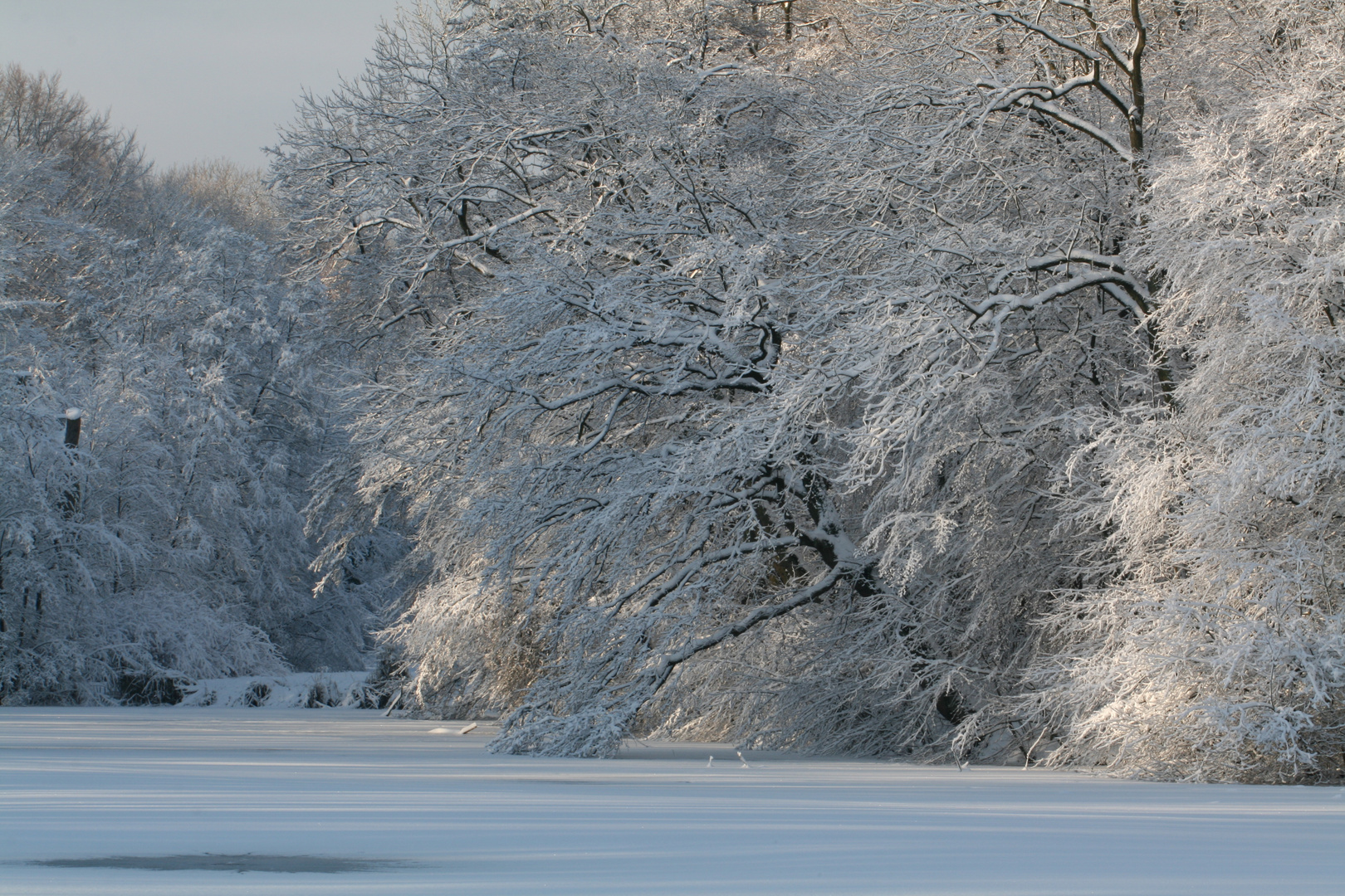 Winterzauber im Stadtwald