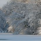 Winterzauber im Stadtwald