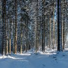 Winterzauber im Wald nahe der Hohen Acht in der Eifel