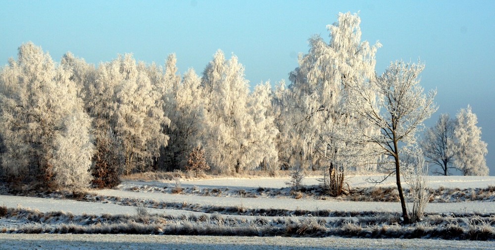 Winterzauber im Waldviertel