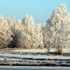 Winterzauber im Waldviertel