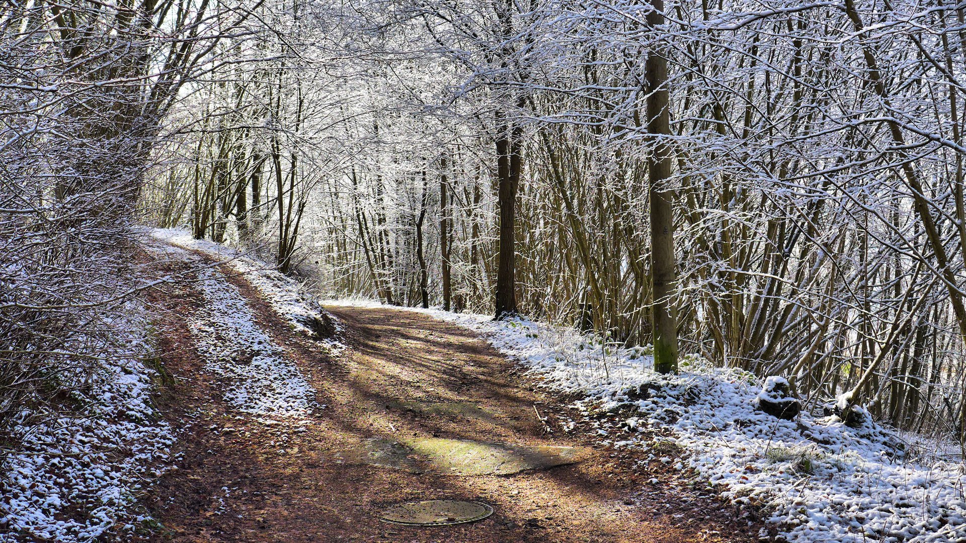 Winterzauber im Westerwald