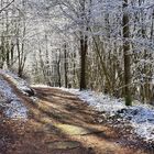 Winterzauber im Westerwald