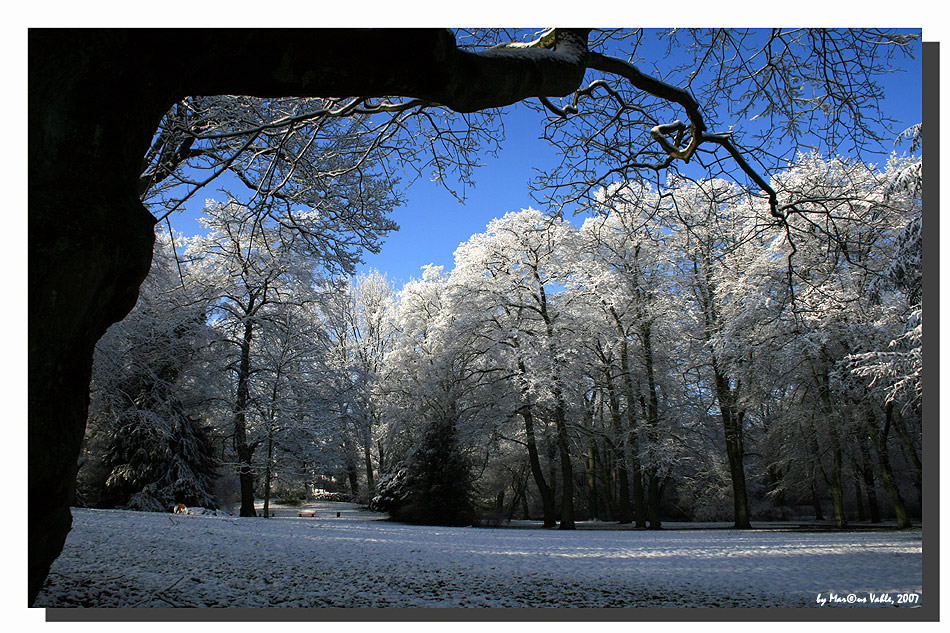 Winterzauber im Westpark