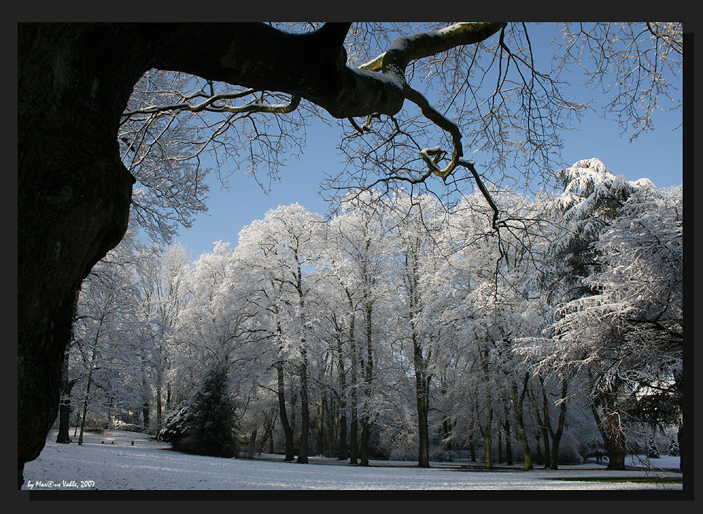 Winterzauber im Westpark (DRI)