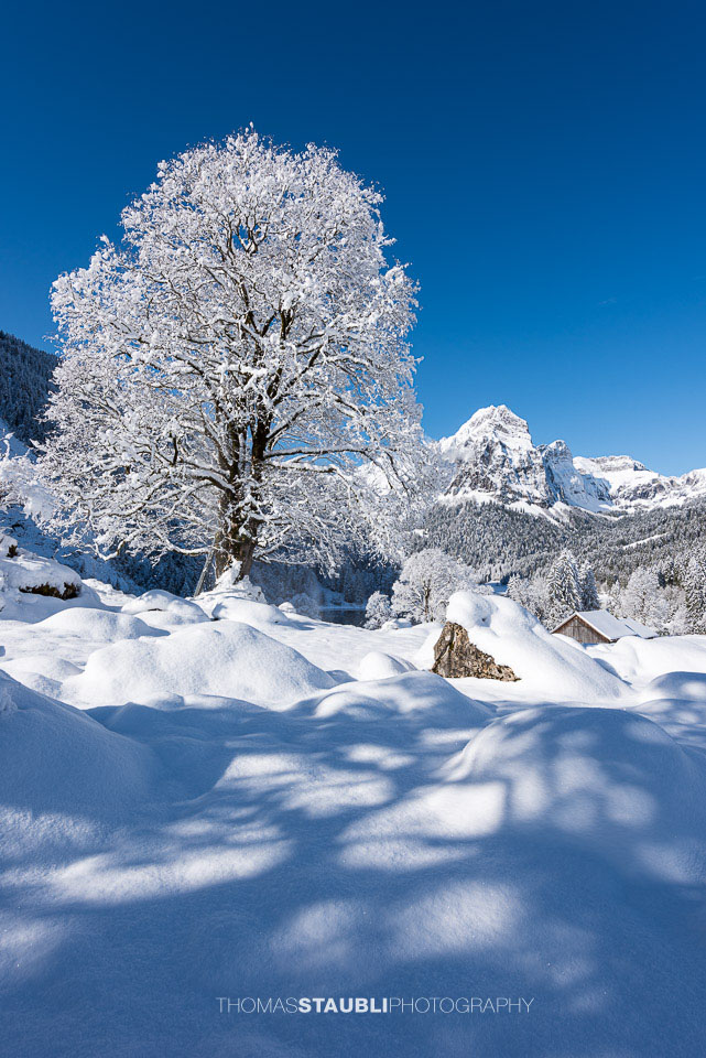 Winterzauber in den Bergen