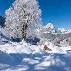 Winterzauber in den Bergen