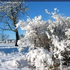 Winterzauber in der Altmark