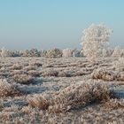 Winterzauber in der Göbelner Heide