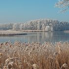 Winterzauber in der Teichlandschaft