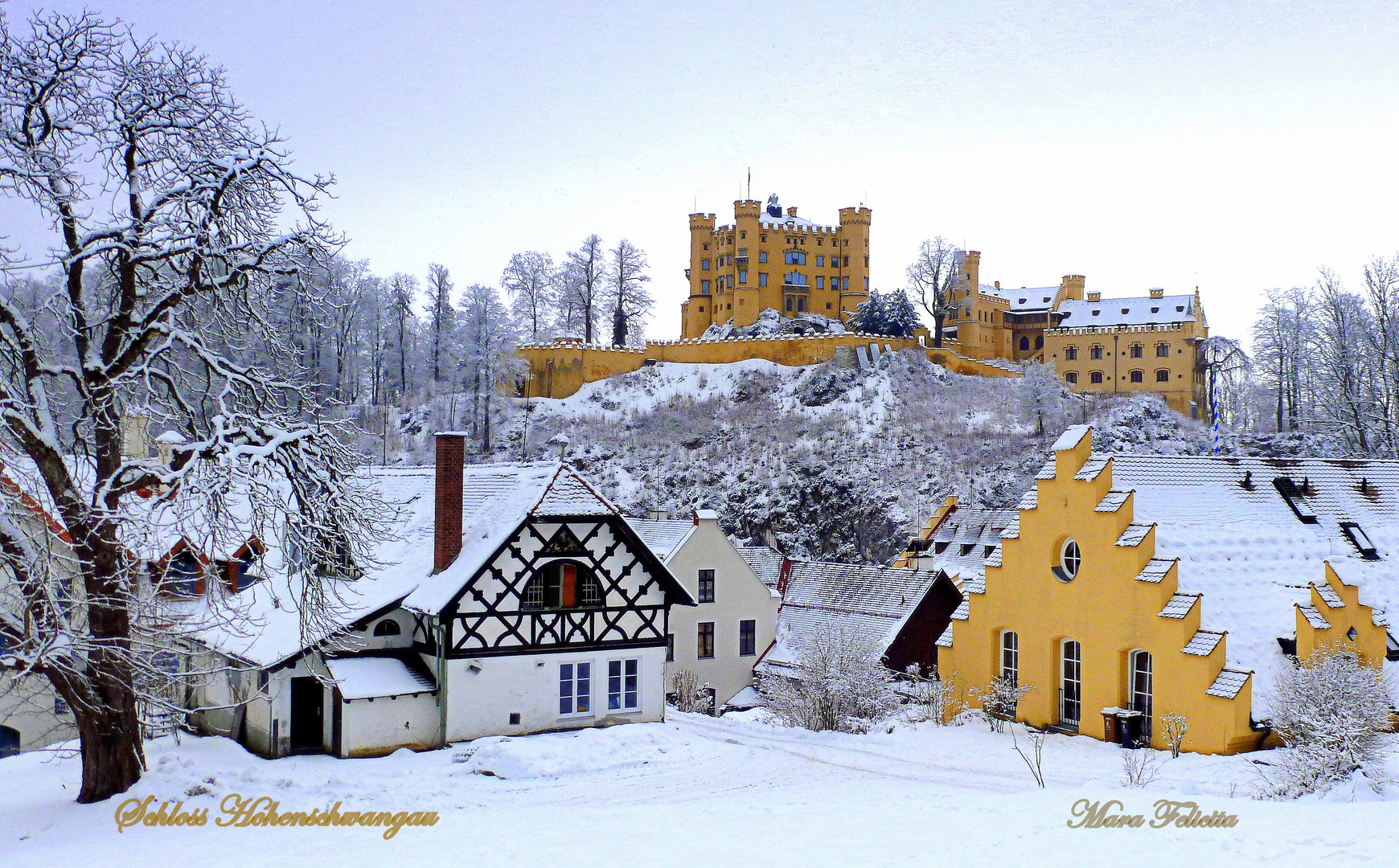 WINTERZAUBER IN HOHENSCHWANGAU