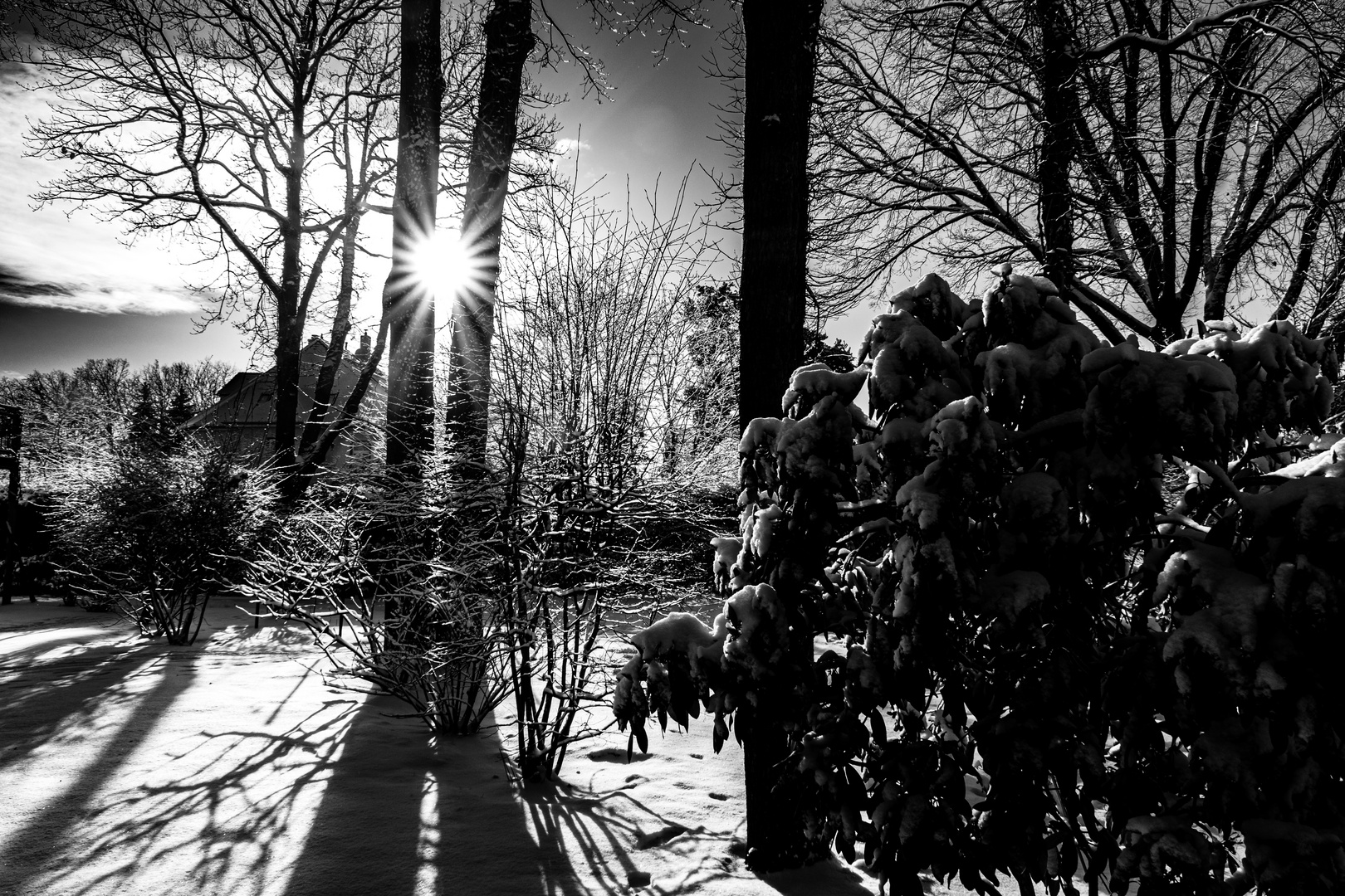 Winterzauber in Radebeul