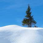 Winterzauber in Tirol