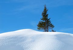 Winterzauber in Tirol