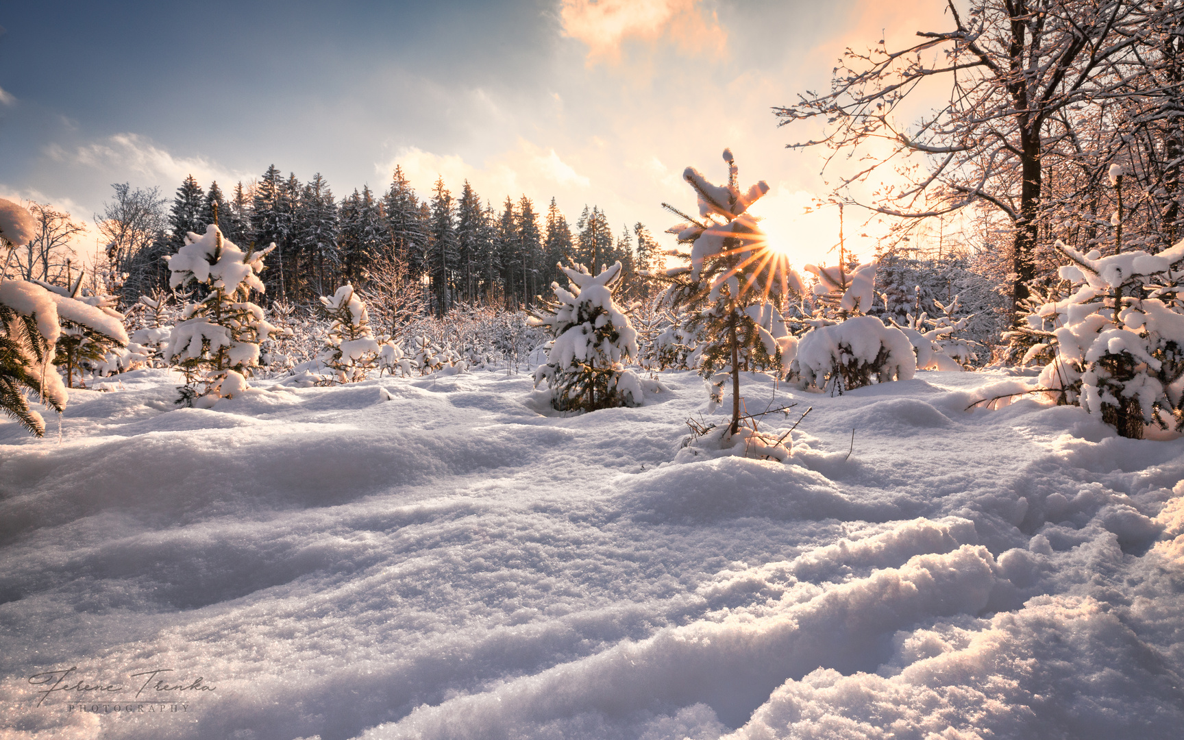 Winterzauber kurz vor Sonnenuntergang