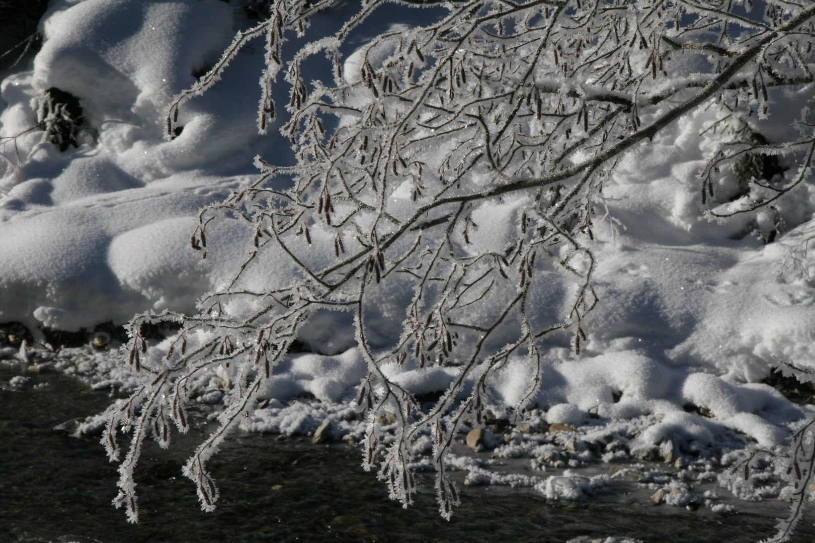 Winterzauber (Lanersbach im Dez.2008)