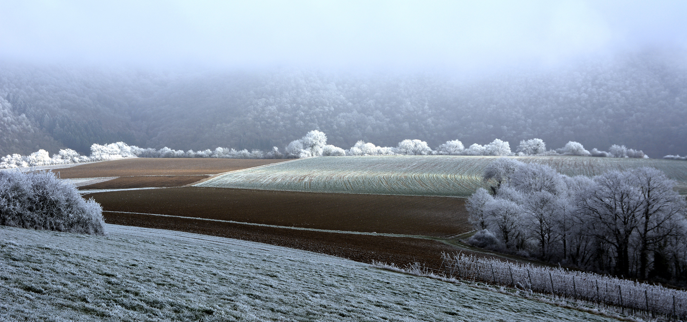 Winterzauber!  ... oder wenn der Reif sich über das Land legt!