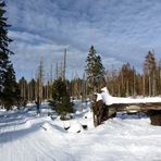 Winterzauber rund um den Brocken (1)