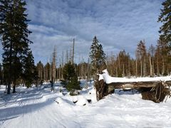 Winterzauber rund um den Brocken (1)