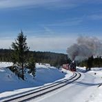 Winterzauber rund um den Brocken (4)