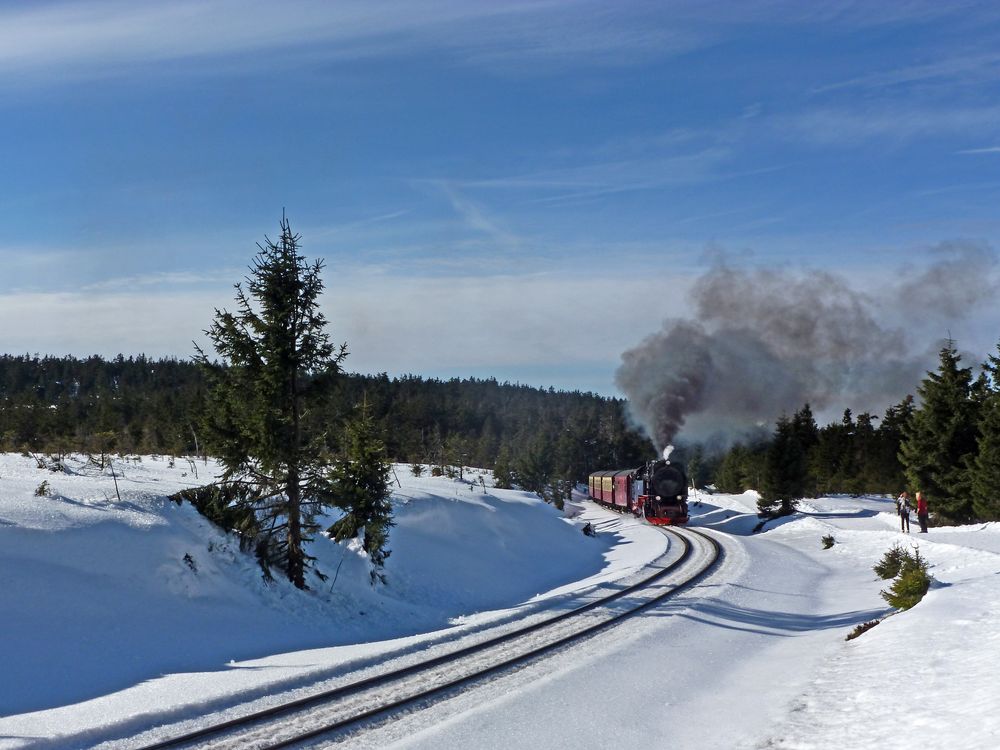 Winterzauber rund um den Brocken (4)