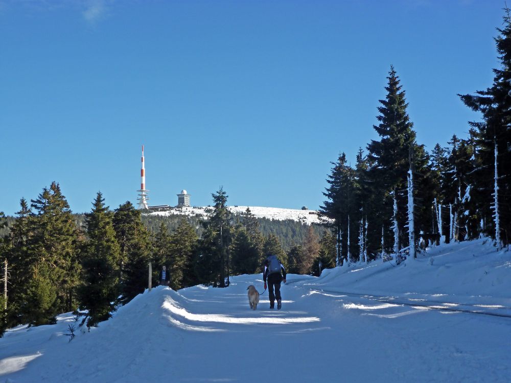 Winterzauber rund um den Brocken (5)