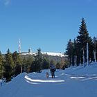 Winterzauber rund um den Brocken (5)