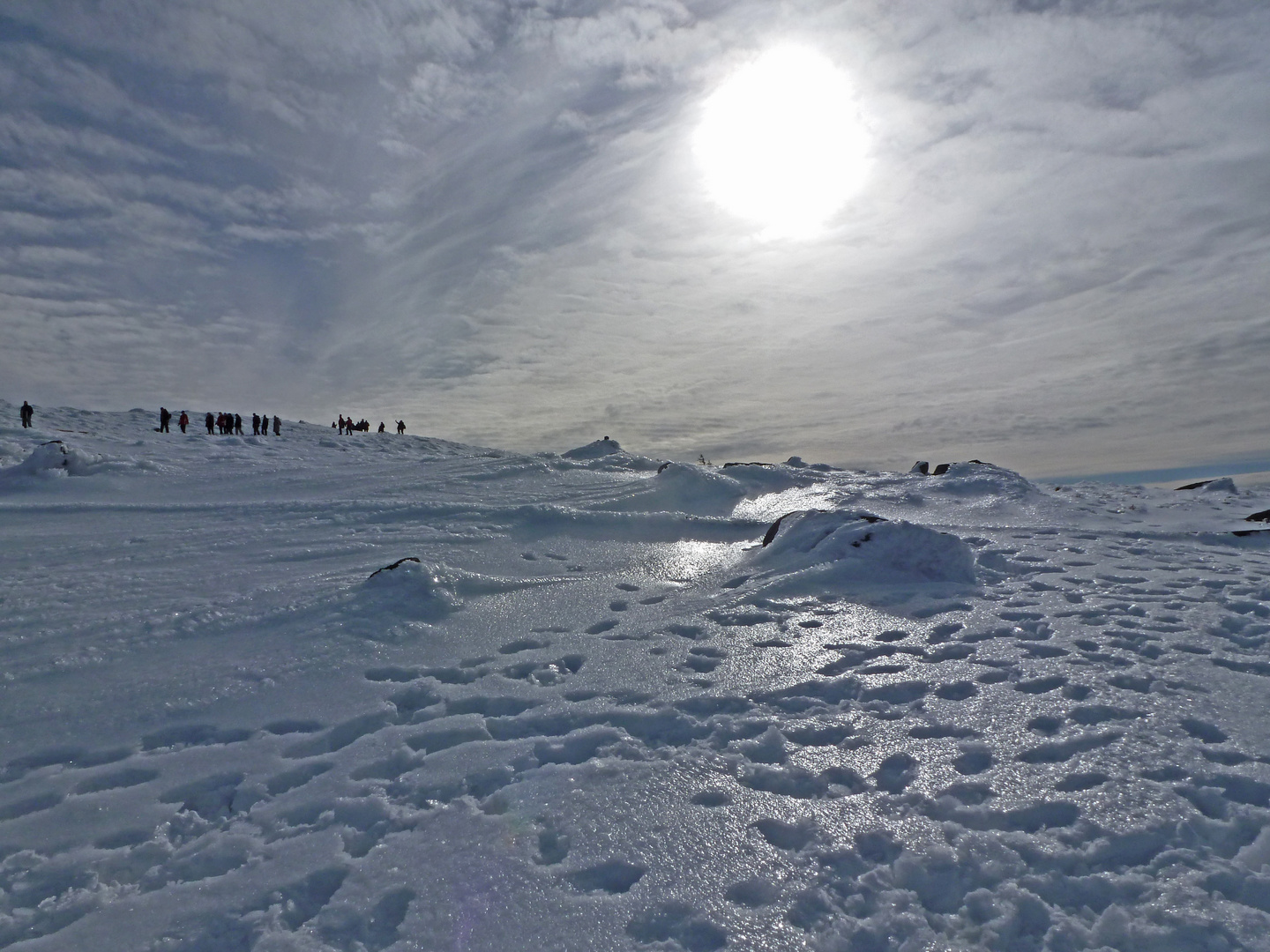 Winterzauber rund um den Brocken (7)