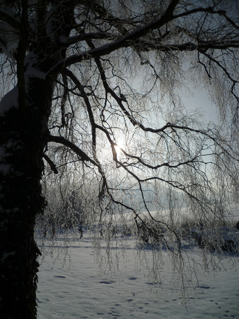 Winterzauber Schliersee