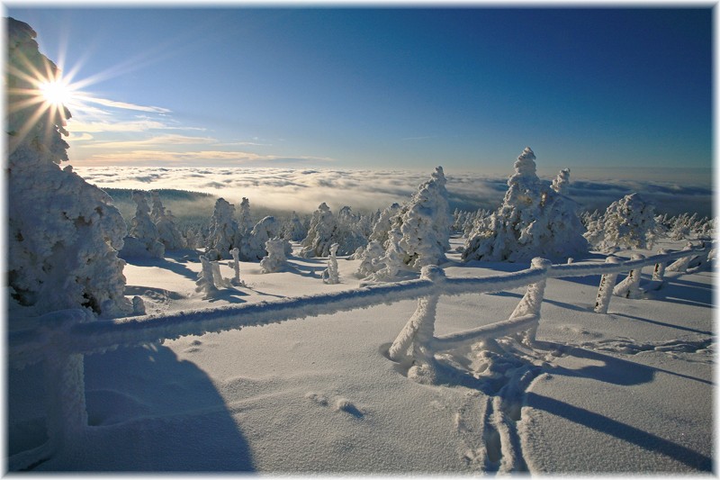 Winterzauber über den Wolken