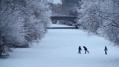 Winterzauber VI