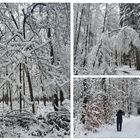 Winterzauber-Wald