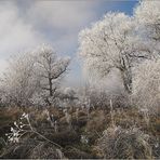 Winterzauberland