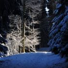 Winterzauberwald 2