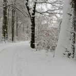 Winterzauberwald