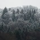 Winterzauberwald